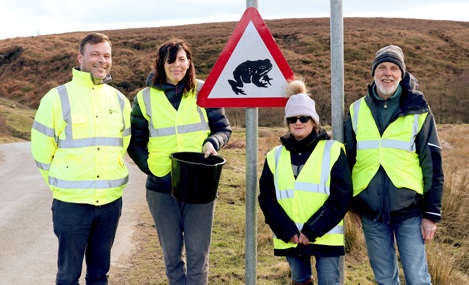 Volunteers come to aid of amorous Osmotherley toads 