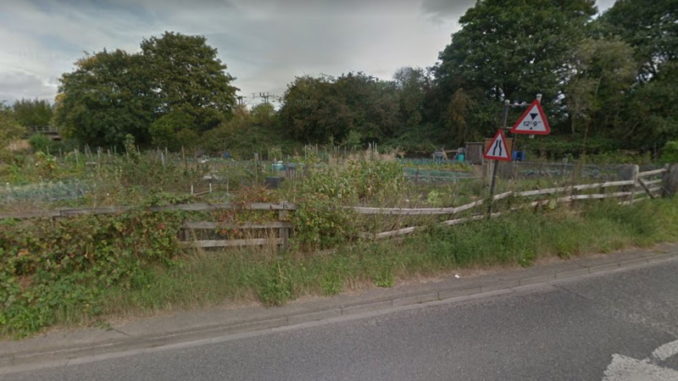 allotments1