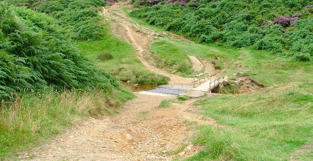 sheepwash