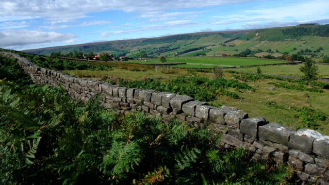 Dry stone wall in landscape_credit NYMNPA (002)