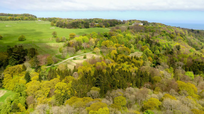 Mulgrave-Woodland