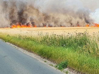 Fire near Ripon last year. Photo: N Yorks Fire and Rescue Service