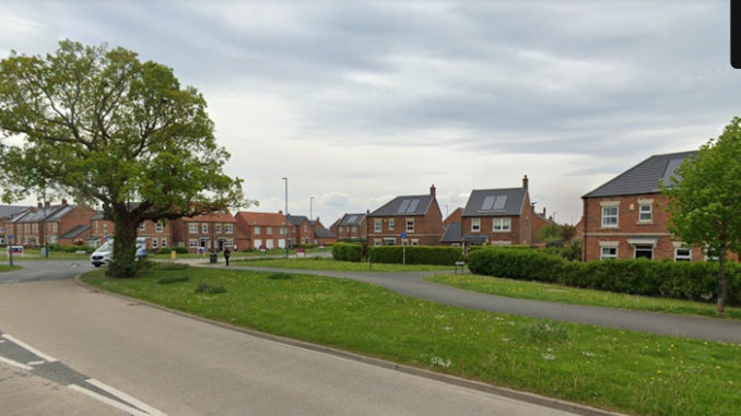 sowerby12